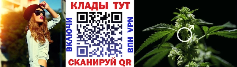 Галлюциногенные грибы Горно-Алтайск