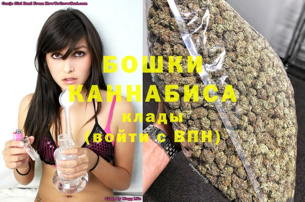 гашик Белокуриха