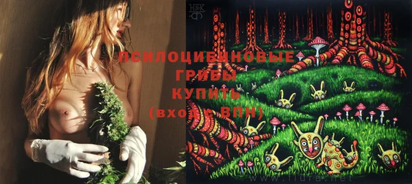 гашик Белокуриха