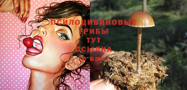 соль курить ск Беломорск