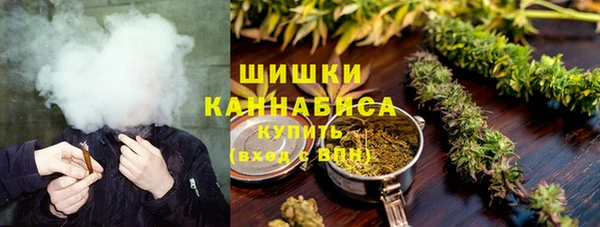 гашик Белокуриха