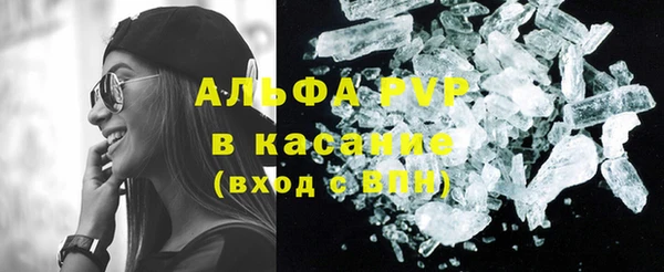 гашик Белокуриха