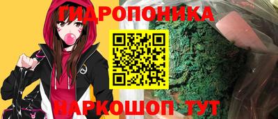 амф Бийск