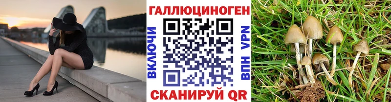 Псилоцибиновые грибы прущие грибы  Горно-Алтайск 