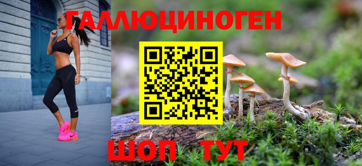 Галлюциногенные грибы Psilocybe  Галлюциногенные грибы Cubensis  Вход с VPN  Горно-Алтайск 