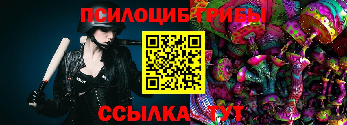 Галлюциногенные грибы Magic Shrooms  Горно-Алтайск 